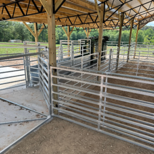 Agricultural education center cattle handling equipment