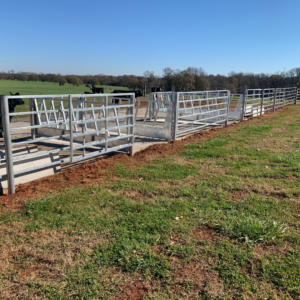 custom made feeding trough in georgia