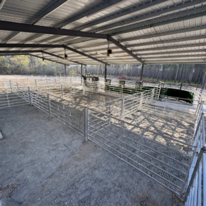 under barn cattle equipment