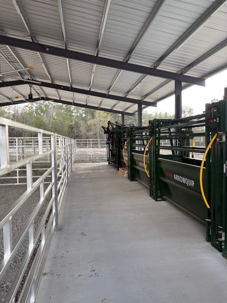 cattle stalls with arrowquip gates